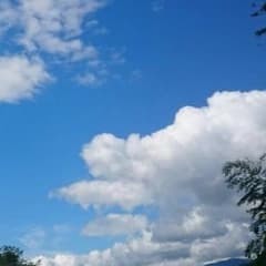 Kanam♬様専用☆のサムネイル