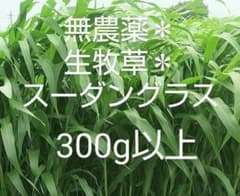 無農薬 生牧草 スーダングラス 300g以上のサムネイル