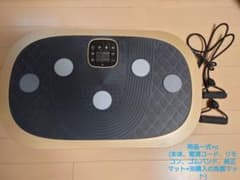 ボディーシェイカープロ（シャンパンゴールド）　ぶるぶるマシンのサムネイル