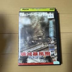 壊滅暴風圏II カテゴリー7 DVDのサムネイル