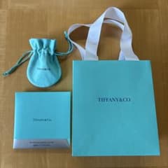 Tiffany & Co. ショッパー　拭き布のサムネイル