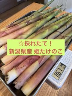 ☆新潟県産 姫たけのこ 850gのサムネイル