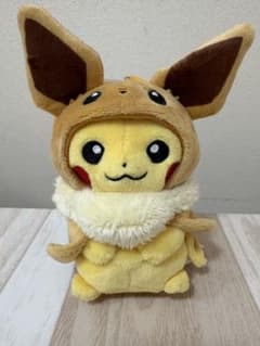 新品・タグ付き‼️」2018年ポケモンセンター限定イーブイポンチョの