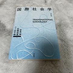 【mike様 専用】《値下げ交渉可》 国際社会学のサムネイル
