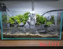 滝の流れるアクアテラリウム No.1111 - メルカリ