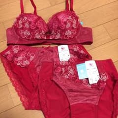ブラショーセット サニタリー付き ワコール 新品のサムネイル