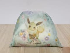 【新品】イーブイフレンズ 巾着付ブランケット