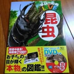 新品☆学研昆虫図鑑☆DVD付きのサムネイル