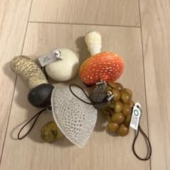 きのこのサムネイル