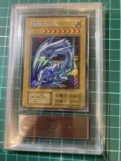 ARS9】遊戯王 青眼の白龍 海馬セット シク - メルカリ