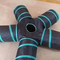 キャットトンネルのサムネイル