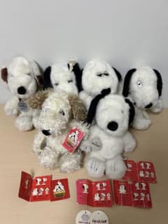 m66912544832_1.jpg?1726905493