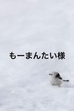 もーまんたい様のサムネイル