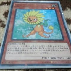 遊戯王  ダンディライオンのサムネイル