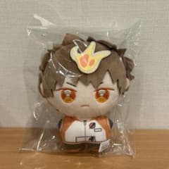 【新品未開封】家庭教師ヒットマンREBORN　沢田綱吉 ぽにすてっぷ　ぬいぐるみ