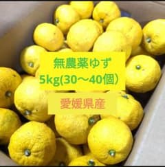 無農薬ゆず 5kg (30〜40個) 愛媛県産のサムネイル