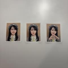 藤沢莉子 ID フォト ステッカー vol 5 証明写真 コンプ ニアジョイのサムネイル