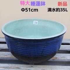 新品 特大 ∅51 陶器 睡蓮鉢 メダカ鉢 難有 ヒスイグリーン 青＆緑 LLB