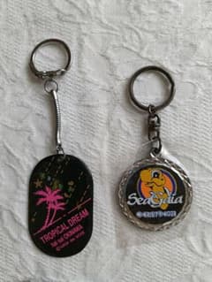 宮崎シーガイア Sea Gaia 亀 沖縄 土産物 キーホルダー 2個 セットのサムネイル