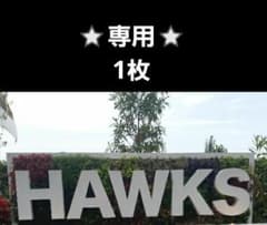 Anakies様⭐専用のサムネイル