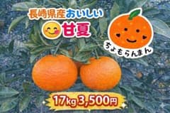 長崎県産 甘夏 17kg 3,500円　送料込みのサムネイル