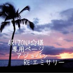 ARIZONA☆様 ♡専用ページのサムネイル