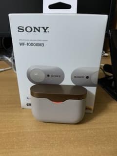 WF1000XM3のサムネイル