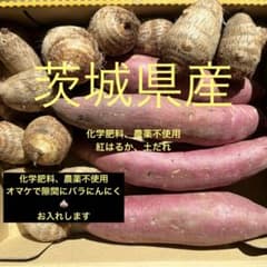コンパクトボックスいっぱい　オマケ付き　紅はるか、里芋　化学肥料、農薬不使用のサムネイル