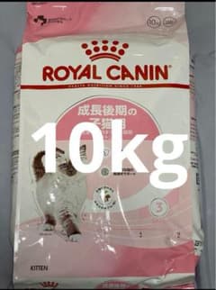 24時間以内発送　ロイヤルカナン子猫成長後期10kgx1袋 24時間以内発送 ロイヤルカナン子猫成長後期10kgx1袋 - メルカリ