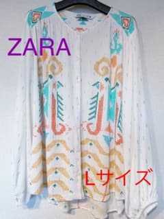 【ZARA】美品　刺繍ブラウスのサムネイル