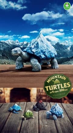 マウンテンタートルズ（mountain turtles）　ミドリワシバタケガメのサムネイル