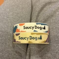 Saucy Dog ラバーバンド 2個セットのサムネイル