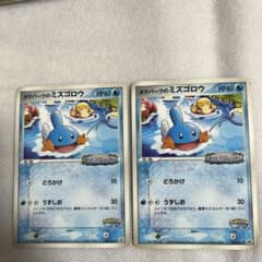 ポケパークのミズゴロウ 2枚セット - メルカリ