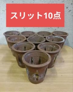 丹波立杭焼 伝市鉢 スリット 10点 山野草 植木 盆栽 ガーデニング 多肉