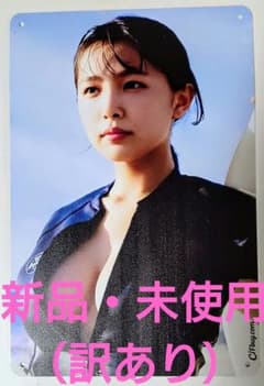 水着姿　ブリキ看板のサムネイル
