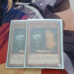 遊戯王 増殖するG ノーマル2枚のサムネイル