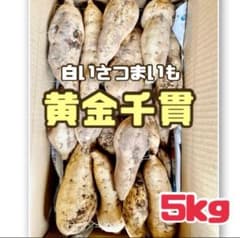 鹿児島県産さつまいも【黄金千貫】５キロのサムネイル