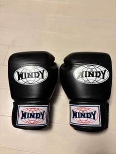 WINDY ボクシンググローブ 12oz BGVH ブラックのサムネイル