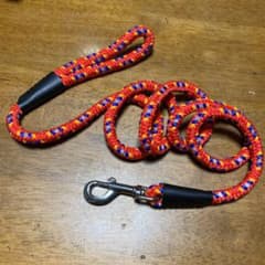 さらに値下げ✨犬用　リード　60cmのサムネイル