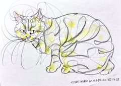 木原 千春 ドローイング4枚セット メルカリ出品数1万超！5分間ドローイングの入手は争奪戦！！【木原千春