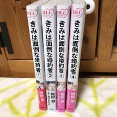 きみは面倒な婚約者 完結 全巻のサムネイル
