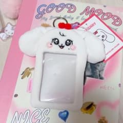 ive minive ウォニョン チェリー トレカケース フォトカードホルダー