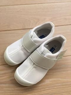 ⭐︎新品⭐︎アサヒ健康くん　20㎝のサムネイル
