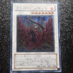 ブラックローズドラゴン　レリーフのサムネイル