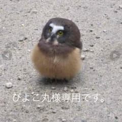 カシミア&フォックスファーのサムネイル