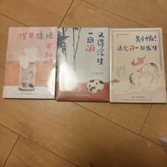 中国語書籍 3冊セット 文学 小説のサムネイル