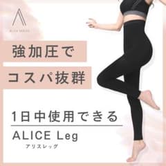 アリスレッグ HARDのサムネイル