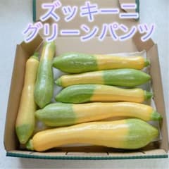 ズッキーニ グリーンパンツ