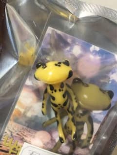 フォーチュンワンダ タイガーフロッグ  ドールショウ限定のサムネイル