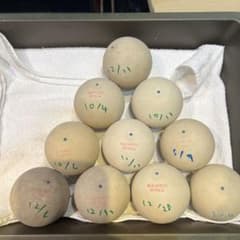 ソフトテニスボール中古 6 - メルカリ